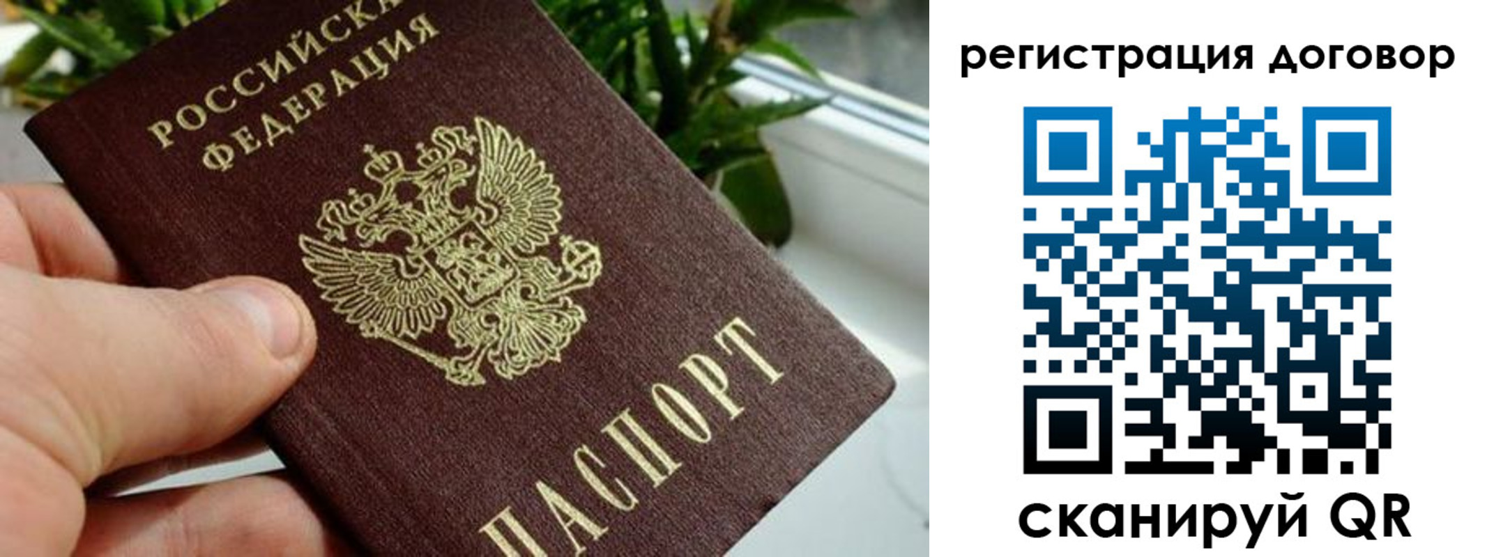прописка ребенка в Алексине